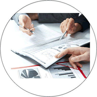 Business Plan Assessment & Documentation