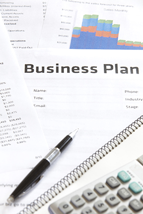 business plan review and evaluation